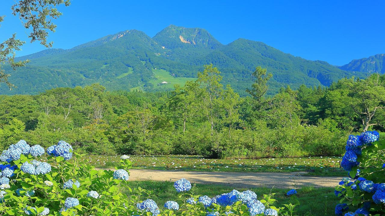 Ryokan Okayama Мёко Экстерьер фото